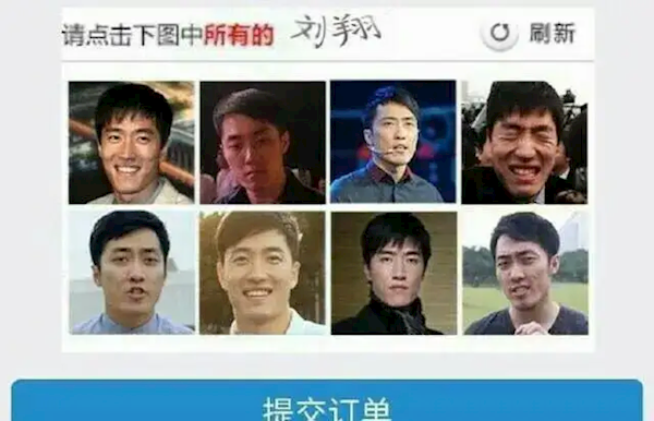 乒乓球菊